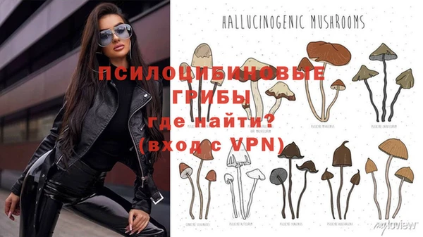 кокс Переславль-Залесский